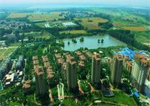 天然真石漆領軍品牌“山東新佳”入駐藍石·大溪地高檔天然水景社區